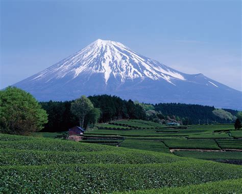 mount fuji height